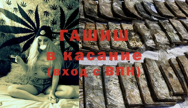 прущие грибы Балабаново