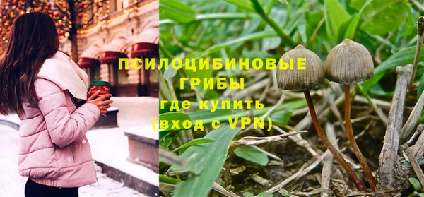 spice Баксан