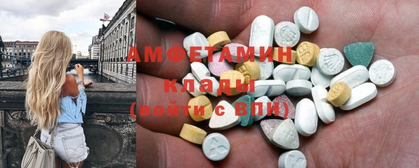 прущие грибы Балабаново