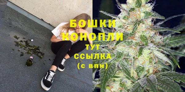 spice Баксан