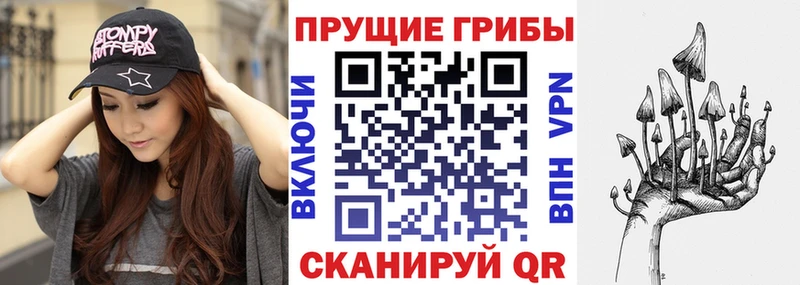 Псилоцибиновые грибы мицелий  ссылка на мегу зеркало  Кяхта 